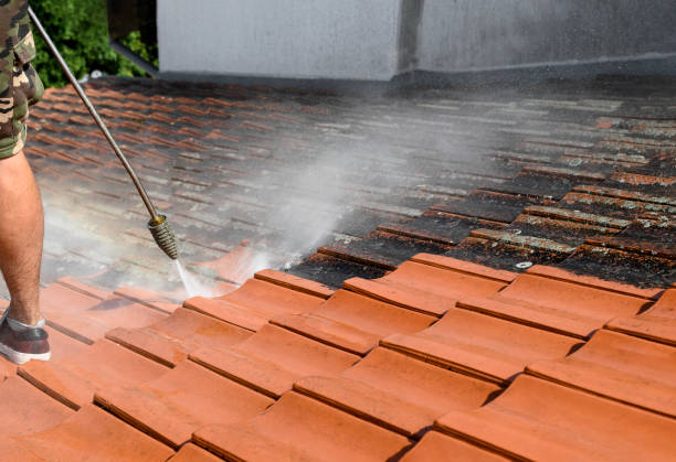 Best Power Washing Near Me  in Brillion, WI