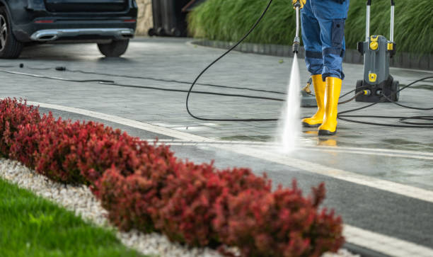 Best Exterior Home Cleaning  in Brillion, WI