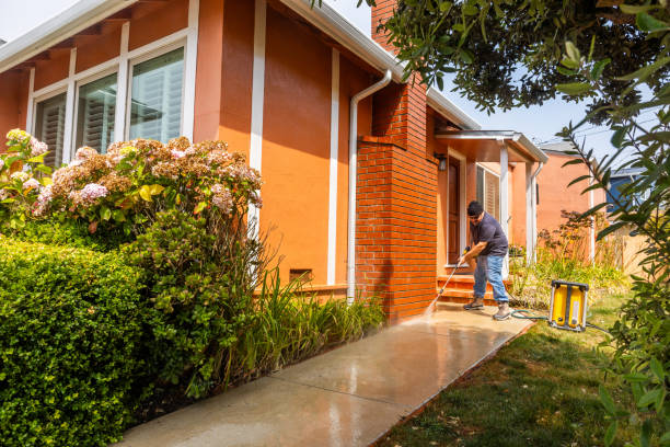 Best Pressure Washing Siding  in Brillion, WI